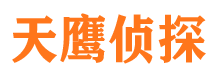 广汉侦探公司